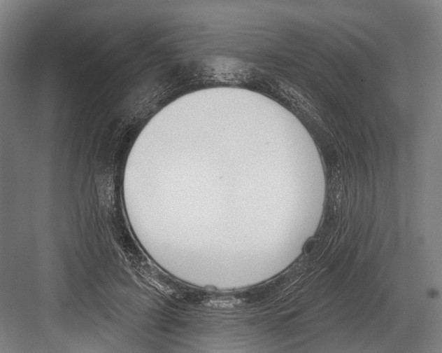 X0000081560595200702121358
