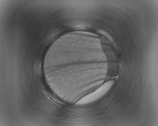 X0000081560596200702121358