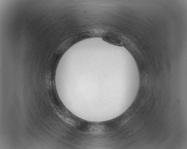 X0000081560599200702121357