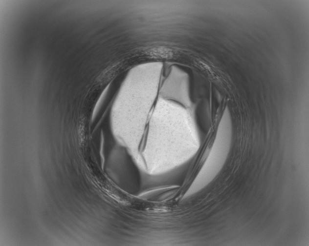 X0000081560600200702121357
