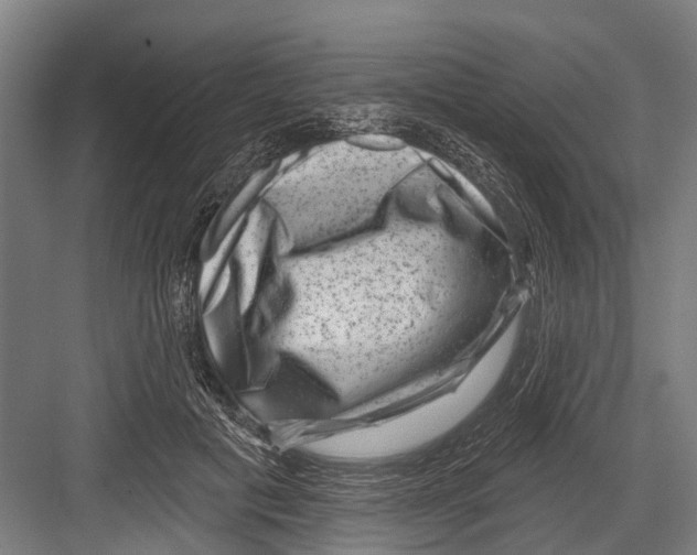 X0000081560601200702121357