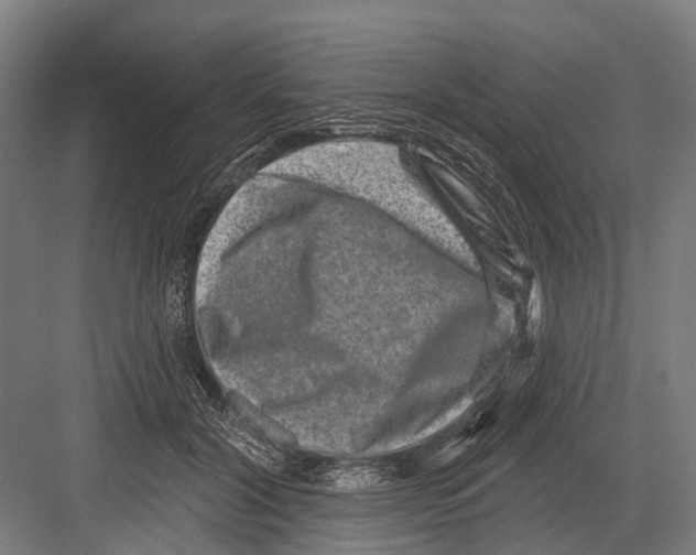 X0000081560604200702121357