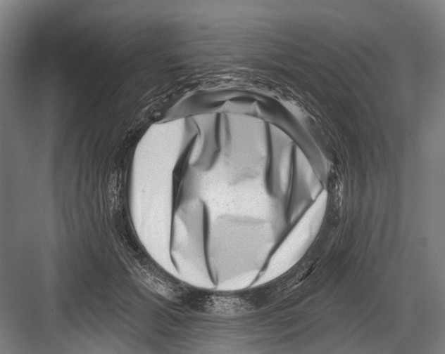 X0000081560605200702121357