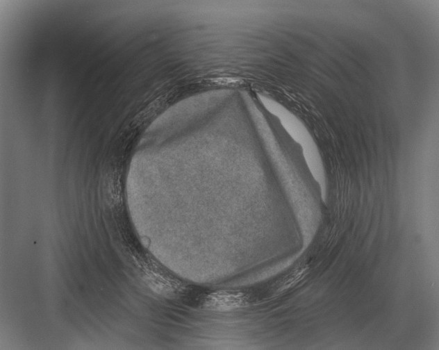 X0000081560606200702121357