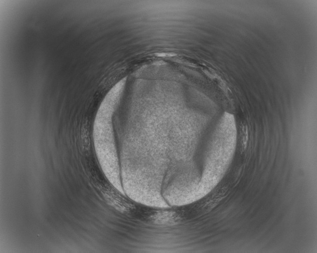X0000081560609200702121357