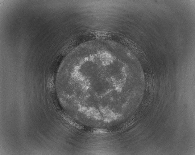 X0000081560610200702121357