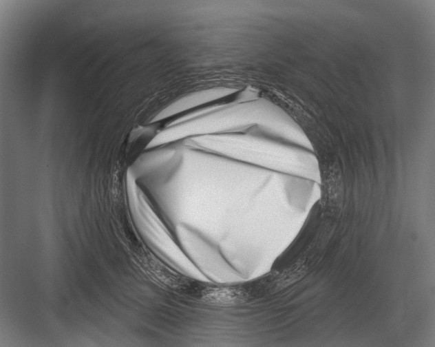 X0000081560611200702121357