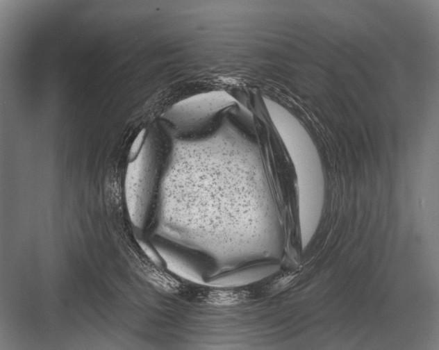 X0000081560613200702121357