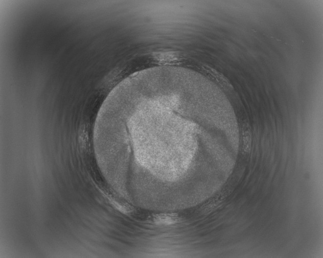 X0000081560618200702121357