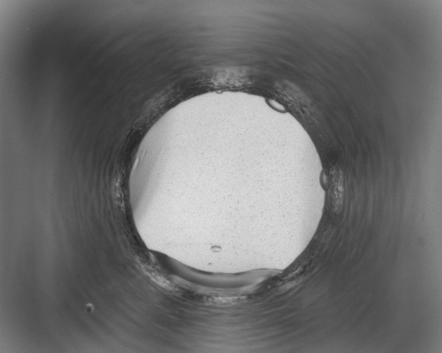X0000081560619200702121357