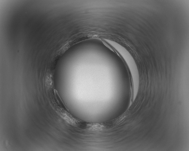 X0000081560621200702121357