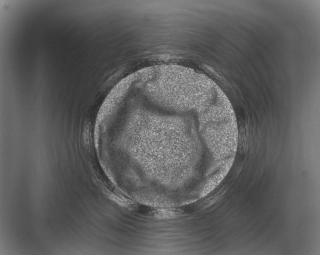 X0000081560623200702121357