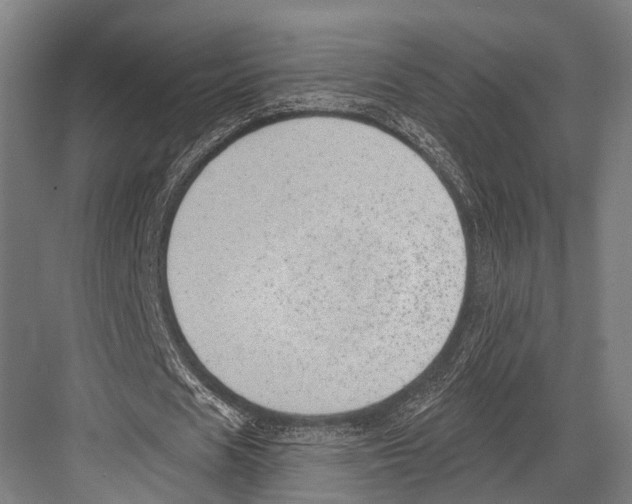 X0000081560625200702121356