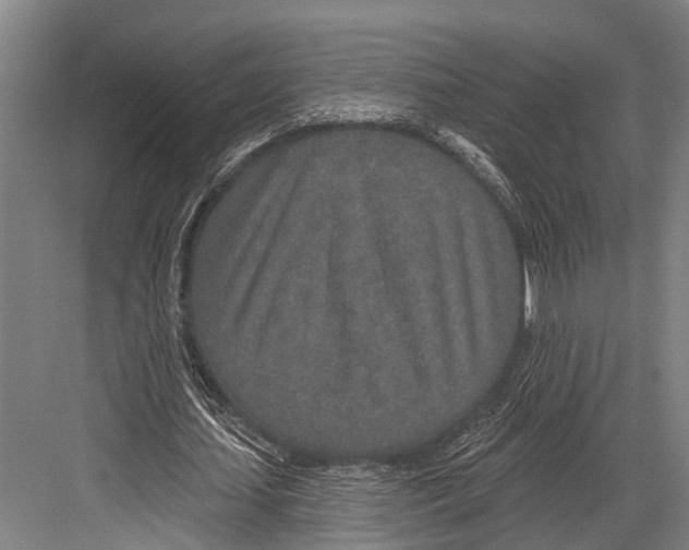X0000081560627200702121356