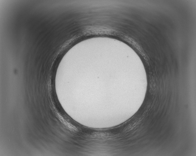 X0000081560629200702121356