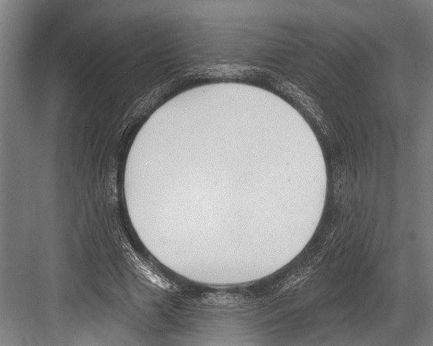X0000081560633200702121356