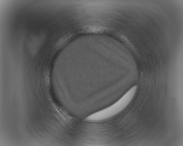 X0000081560640200702121356