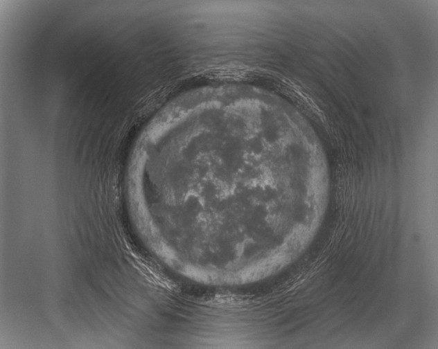 X0000081560641200702121357