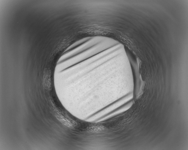 X0000081560642200702121357