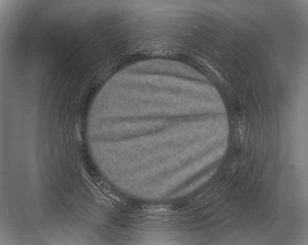 X0000081560643200702121357