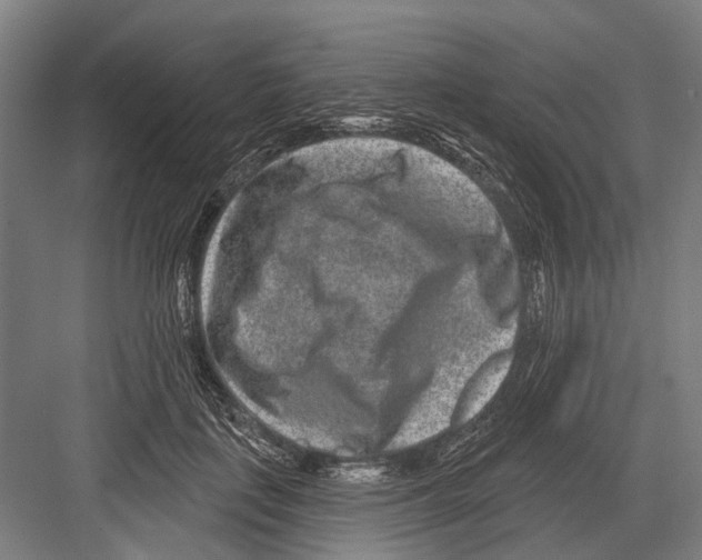 X0000081560651200702121357