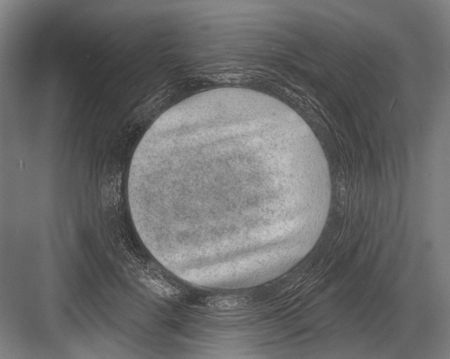 X0000081560652200702121357