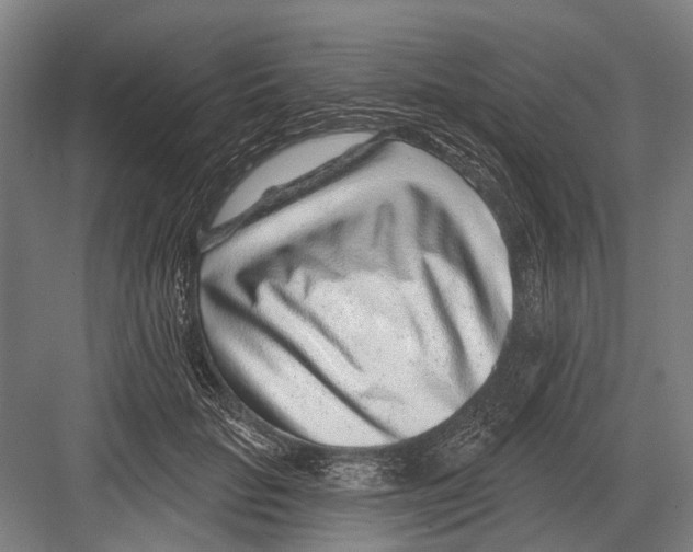 X0000081560653200702121357