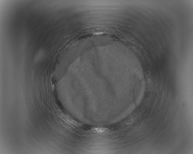 X0000081560654200702121357