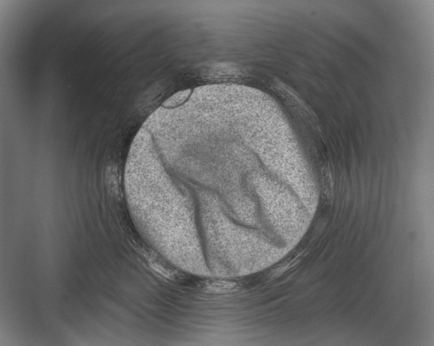 X0000081560669200702121357