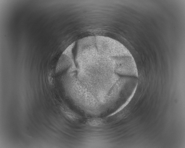 X0000081560671200702121357