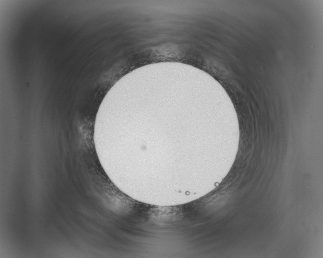 X0000081560672200702121357