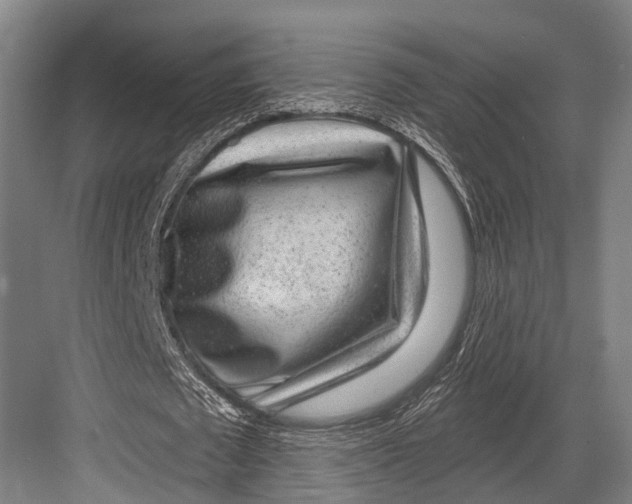 X0000081560673200702121356