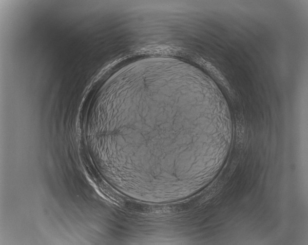 X0000081560674200702121356
