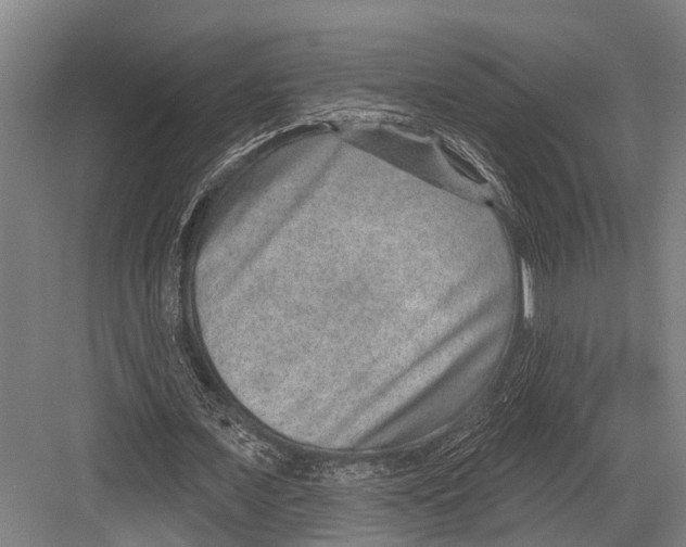 X0000081560675200702121356