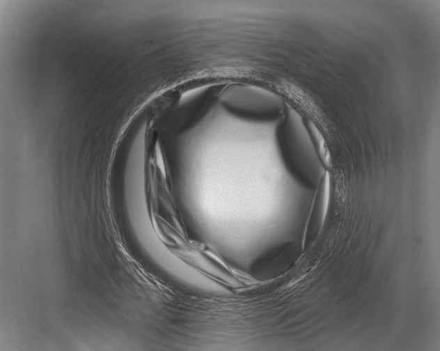X0000081560676200702121356
