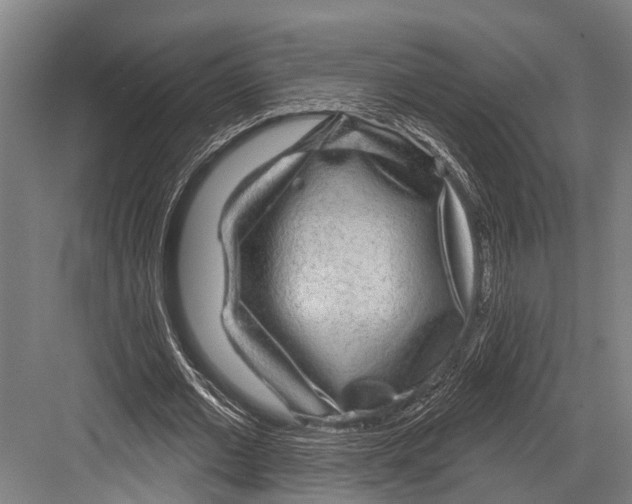 X0000081560677200702121356