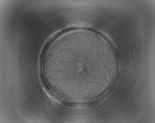 X0000081560678200702121356