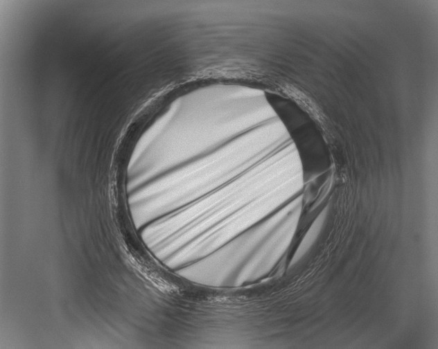 X0000081560680200702121356