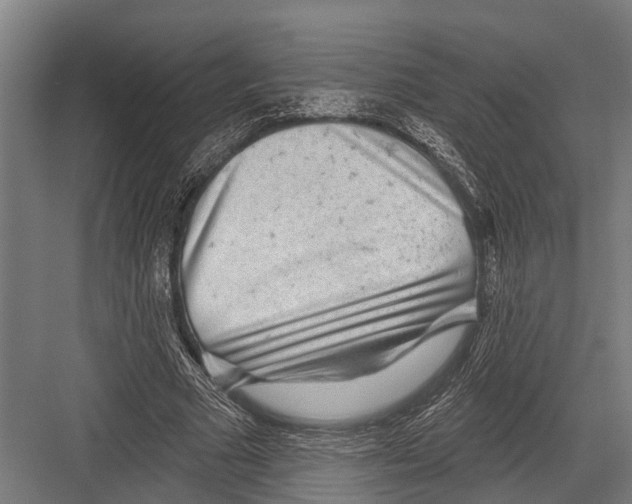 X0000081560681200702121356