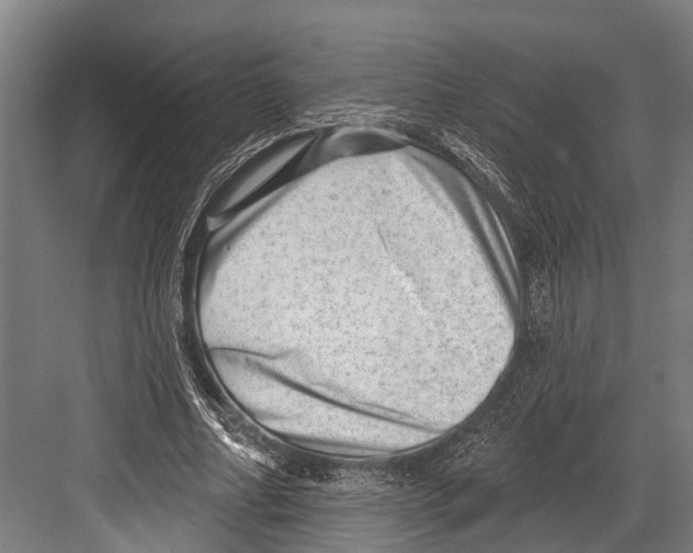 X0000081560682200702121356