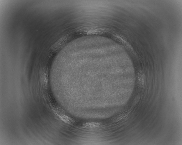 X0000081560691200702121356