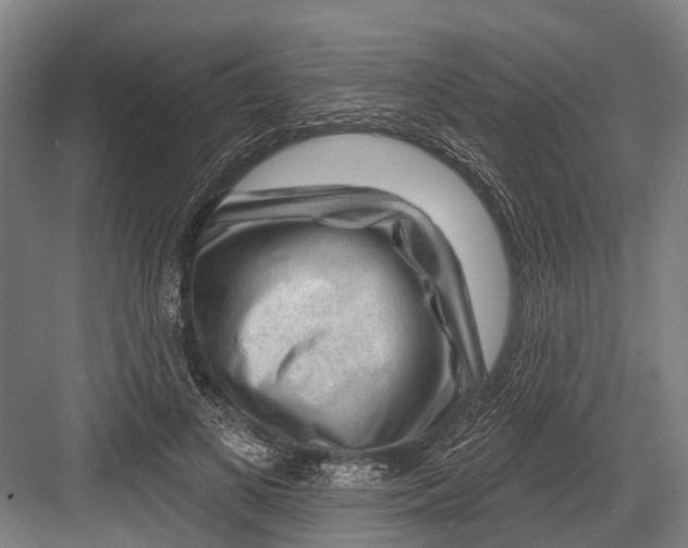 X0000081560693200702121356