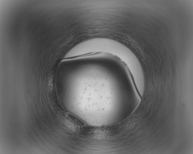 X0000081560697200702121356