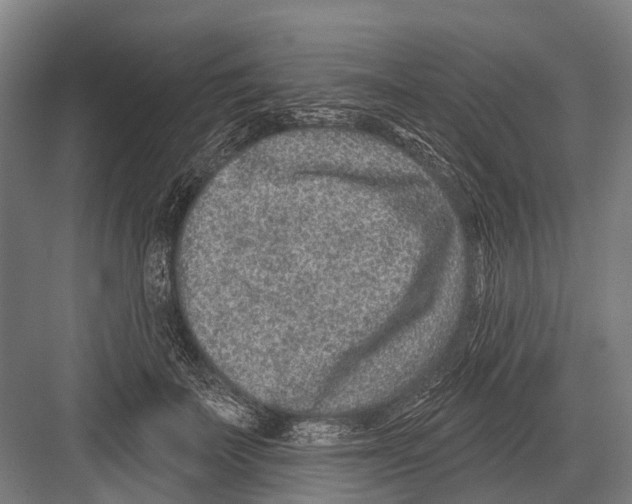 X0000081560699200702121356