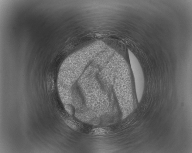X0000081560703200702121356