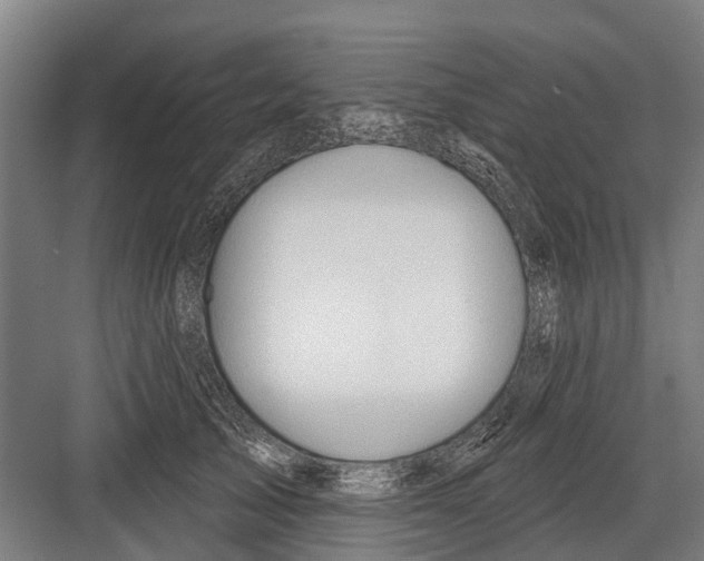 X0000081560705200702121356