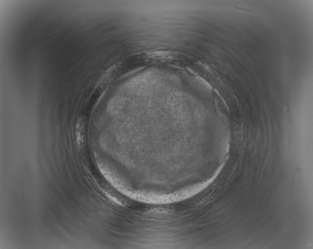 X0000081560708200702121356