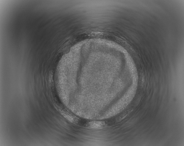 X0000081560711200702121356