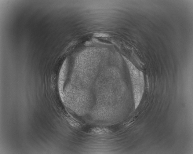 X0000081560712200702121356