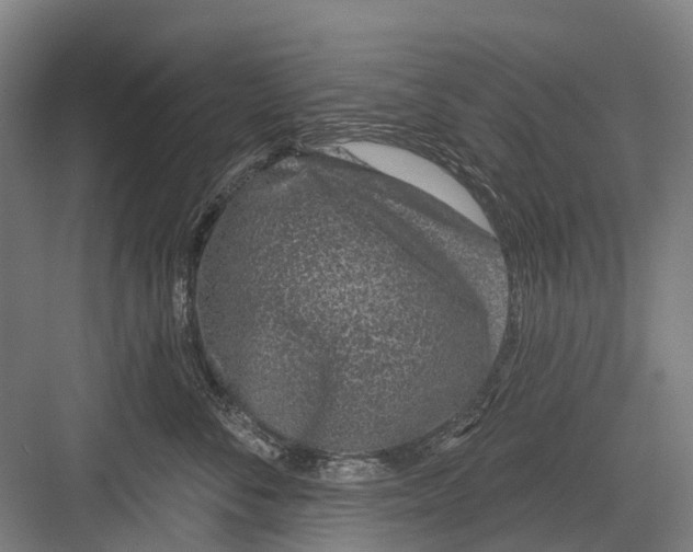 X0000081560716200702121356